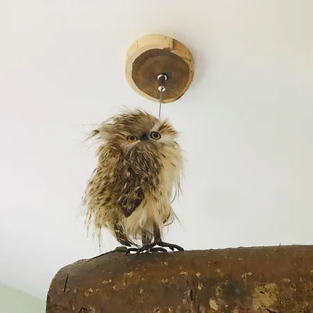 Beach&bos Bed & Breakfast Oostvoorne