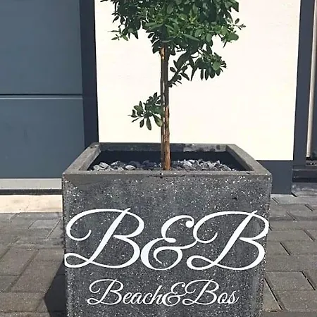 Beach&bos