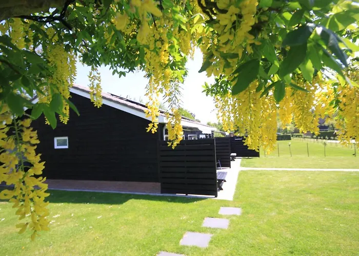 Beach&bos Bed and breakfast Oostvoorne