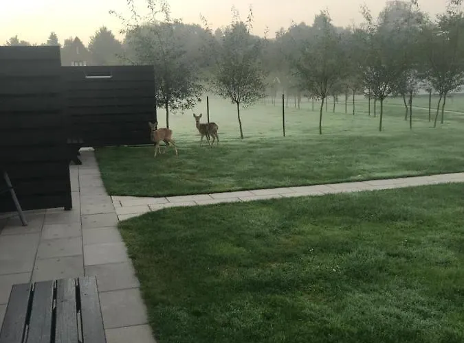 Beach&bos 4* Oostvoorne