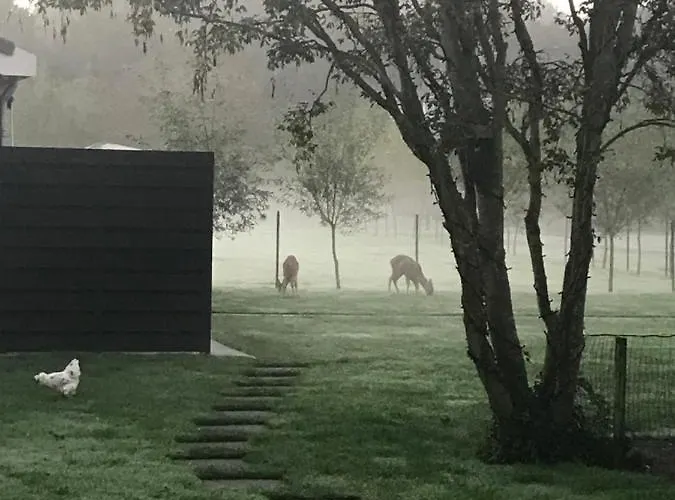 Beach&bos Bed and breakfast