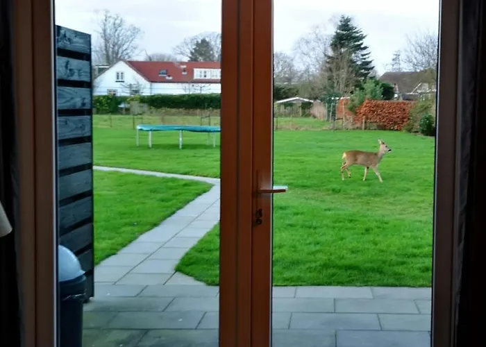 Bed and breakfast Beach&bos 4*