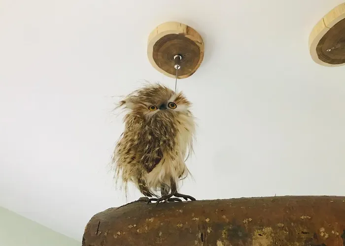 Beach&bos Alojamento de Acomodação e Pequeno-almoço Oostvoorne